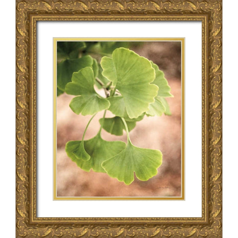 Sprouting Ginkgo IV Gold Ornate Wood Framed Art Print with Double Matting by Van Swearingen, Debra