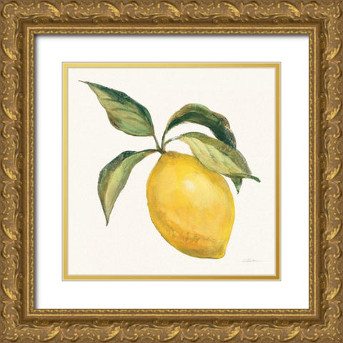 Le Citron on Cream Gold Ornate Wood Framed Art Print with Double Matting by Vassileva, Silvia