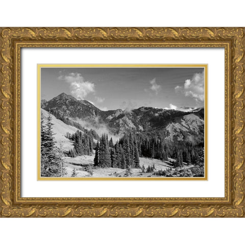 Olympic Mountains I Gold Ornate Wood Framed Art Print with Double Matting by Marshall, Laura