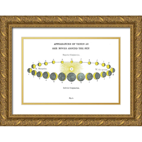 Solar Venus Chart Bright Gold Ornate Wood Framed Art Print with Double Matting by Wild Apple Portfolio