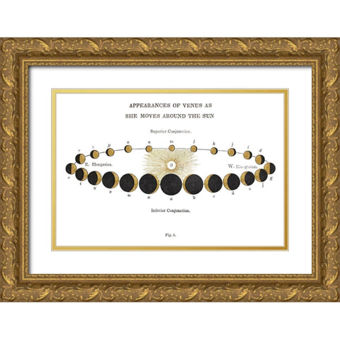Solar Venus Chart Gold Gold Ornate Wood Framed Art Print with Double Matting by Wild Apple Portfolio