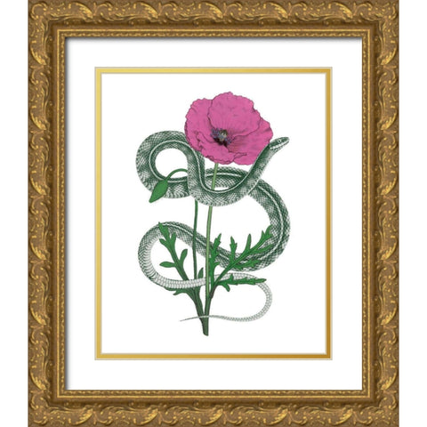Natural Beauty I Pink Flower Gold Ornate Wood Framed Art Print with Double Matting by Wild Apple Portfolio