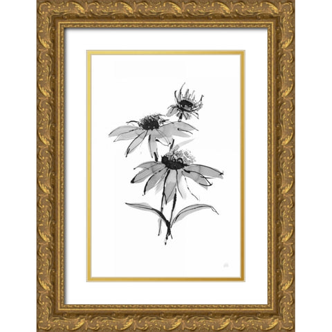 Wash Echinacea II Gold Ornate Wood Framed Art Print with Double Matting by Paschke, Chris