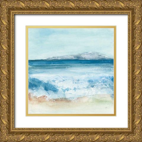 Coastal IV Gold Ornate Wood Framed Art Print with Double Matting by Paschke, Chris