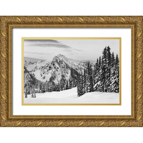 Tatoosh Range BW Gold Ornate Wood Framed Art Print with Double Matting by Majchrowicz, Alan