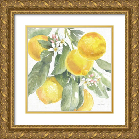 Citrus Charm Lemons II Gold Ornate Wood Framed Art Print with Double Matting by Grove, Beth