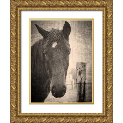 Heres Looking at You I Gold Ornate Wood Framed Art Print with Double Matting by Van Swearingen, Debra