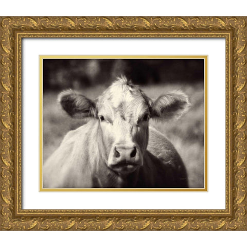 Pasture Cow Gold Ornate Wood Framed Art Print with Double Matting by Van Swearingen, Debra