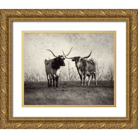 Texas Longhorns Gold Ornate Wood Framed Art Print with Double Matting by Van Swearingen, Debra