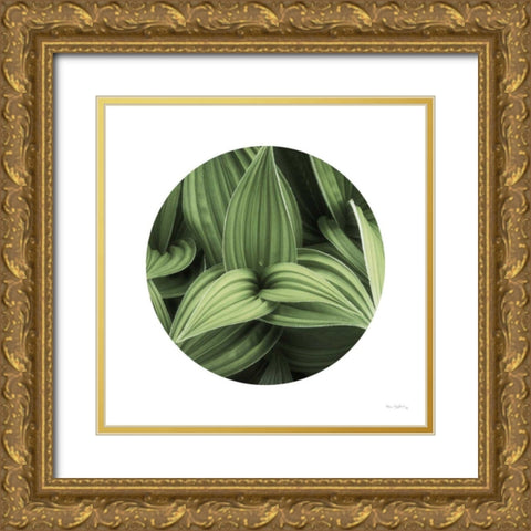 Corn Lily Circle I Gold Ornate Wood Framed Art Print with Double Matting by Majchrowicz, Alan