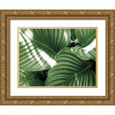 Leaf Abstract V Green Gold Ornate Wood Framed Art Print with Double Matting by Goldstein, Ed