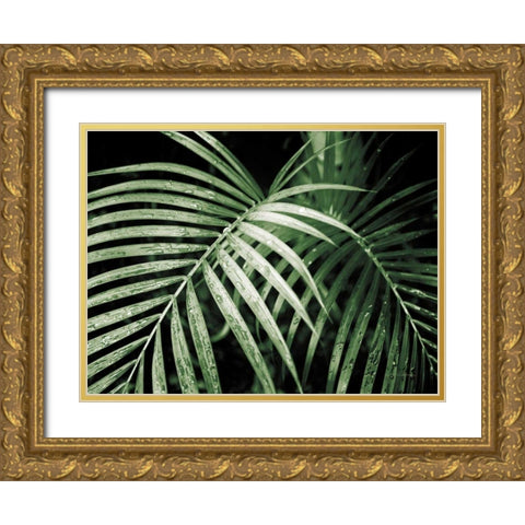 Palm Fronds Green Gold Ornate Wood Framed Art Print with Double Matting by Van Swearingen, Debra