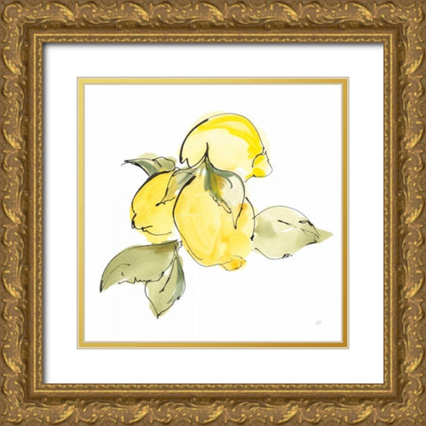 Lemons I Gold Ornate Wood Framed Art Print with Double Matting by Paschke, Chris