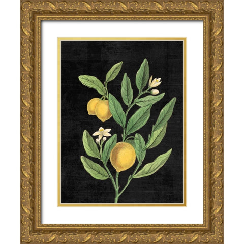 Classic Citrus V Black No Words Gold Ornate Wood Framed Art Print with Double Matting by Schlabach, Sue