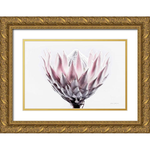 Pale Protea Detail II Gold Ornate Wood Framed Art Print with Double Matting by Catterall, Elise