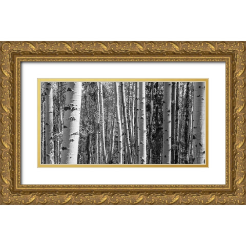 Aspen Grove Gold Ornate Wood Framed Art Print with Double Matting by Urquhart, Elizabeth