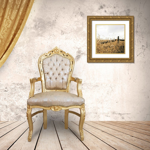 Fencerow Light Crop Gold Ornate Wood Framed Art Print with Double Matting by Aledanda