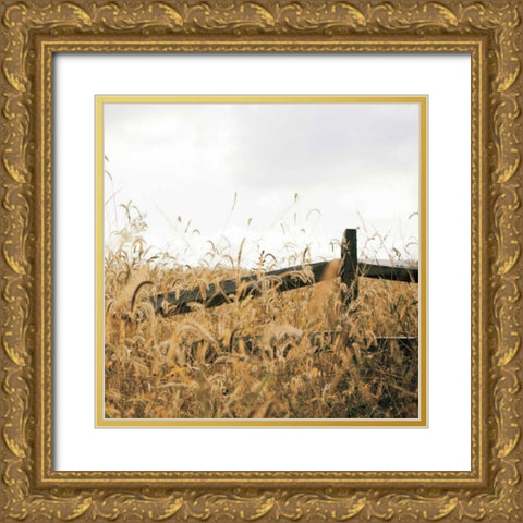 Fencerow Light Crop Gold Ornate Wood Framed Art Print with Double Matting by Aledanda