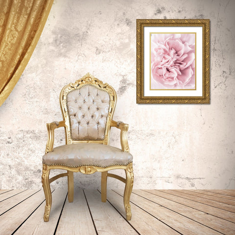 Pink Carnation Crop Gold Ornate Wood Framed Art Print with Double Matting by Catterall, Elise
