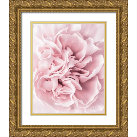 Pink Carnation Crop Gold Ornate Wood Framed Art Print with Double Matting by Catterall, Elise