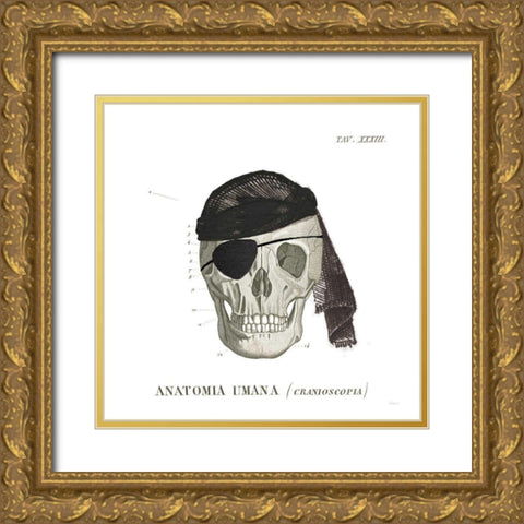 Dandy Bones VI Pirate Gold Ornate Wood Framed Art Print with Double Matting by Schlabach, Sue