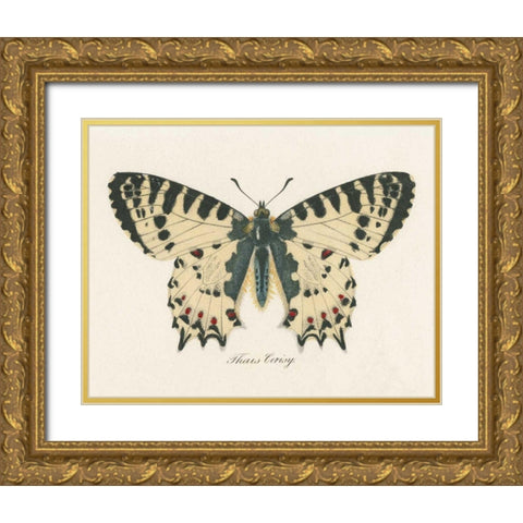 Natures Butterfly I Gold Ornate Wood Framed Art Print with Double Matting by Wild Apple Portfolio