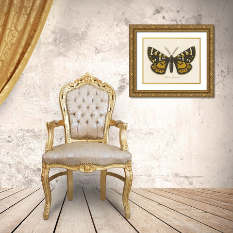 Natures Butterfly V Gold Ornate Wood Framed Art Print with Double Matting by Wild Apple Portfolio