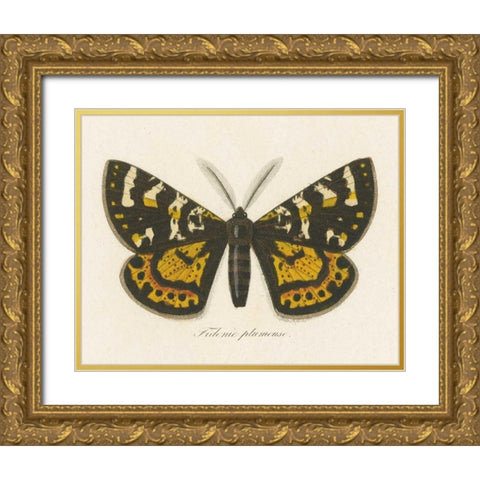 Natures Butterfly V Gold Ornate Wood Framed Art Print with Double Matting by Wild Apple Portfolio