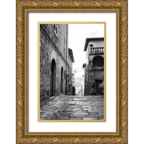 Village Square Gold Ornate Wood Framed Art Print with Double Matting by Aledanda
