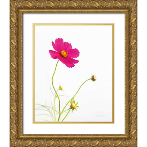 Magenta Cosmos I Gold Ornate Wood Framed Art Print with Double Matting by Van Swearingen, Debra