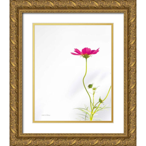 Magenta Cosmos II Gold Ornate Wood Framed Art Print with Double Matting by Van Swearingen, Debra