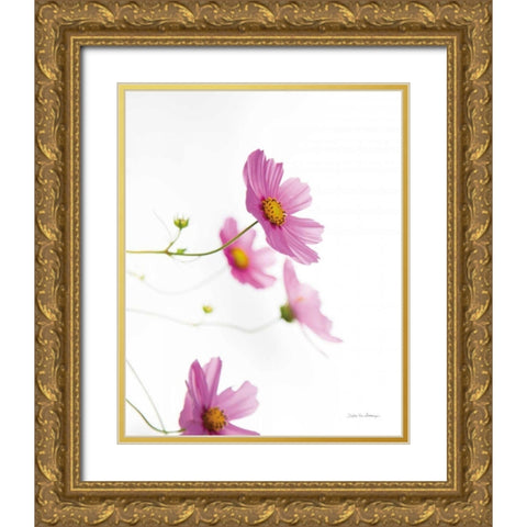 Pale Cosmos I Gold Ornate Wood Framed Art Print with Double Matting by Van Swearingen, Debra