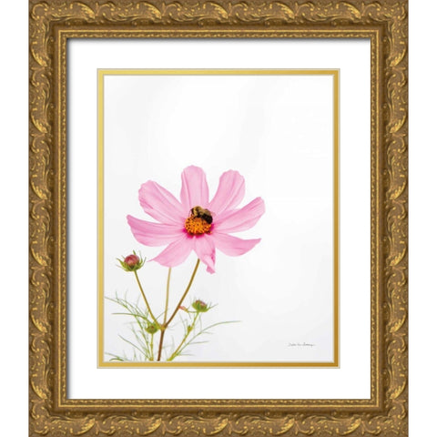 Pale Cosmos II Gold Ornate Wood Framed Art Print with Double Matting by Van Swearingen, Debra