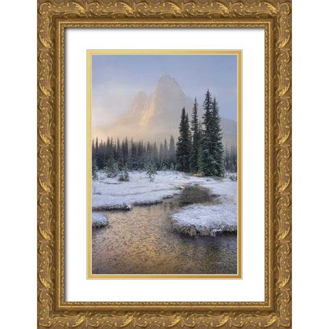 Bell Mountain North Cascades I Gold Ornate Wood Framed Art Print with Double Matting by Majchrowicz, Alan