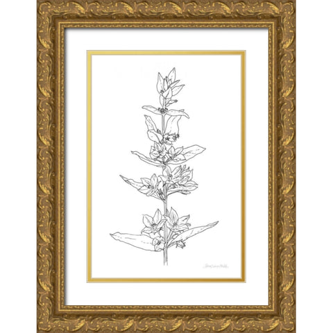 Sketched Flowers Gold Ornate Wood Framed Art Print with Double Matting by Miller, Sara Zieve