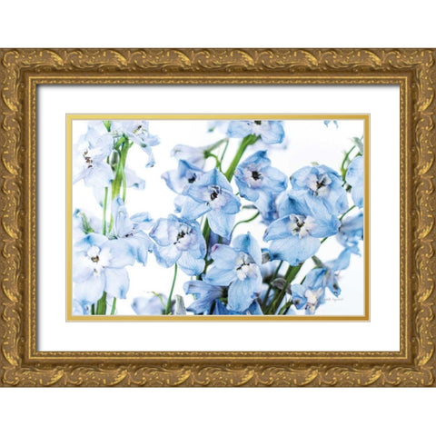 Freshly Picked Delphinium I Gold Ornate Wood Framed Art Print with Double Matting by Urquhart, Elizabeth