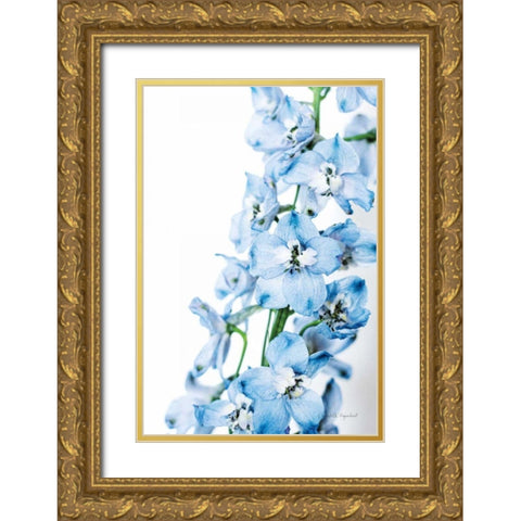 Freshly Picked Delphinium III Gold Ornate Wood Framed Art Print with Double Matting by Urquhart, Elizabeth