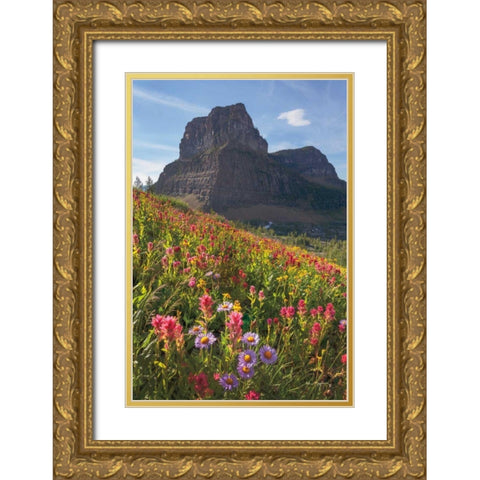 Boulder Pass Wildflowers Gold Ornate Wood Framed Art Print with Double Matting by Majchrowicz, Alan