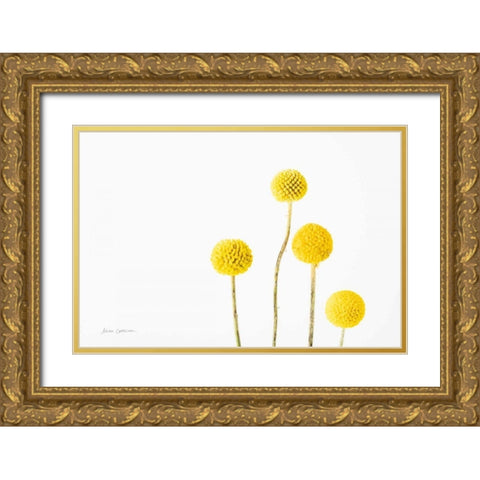 Craspedia I Gold Ornate Wood Framed Art Print with Double Matting by Catterall, Elise