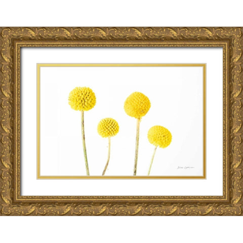Craspedia II Gold Ornate Wood Framed Art Print with Double Matting by Catterall, Elise