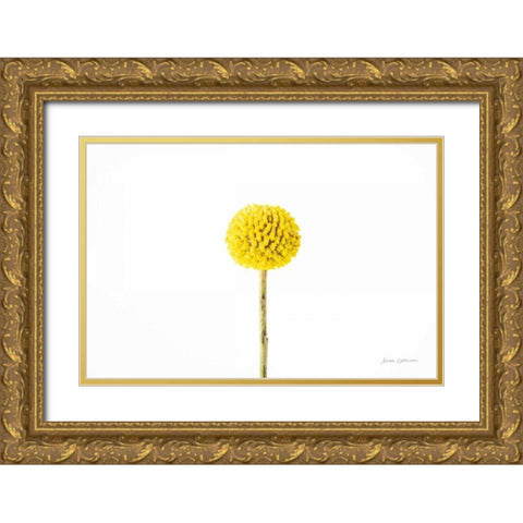 Craspedia III Gold Ornate Wood Framed Art Print with Double Matting by Catterall, Elise