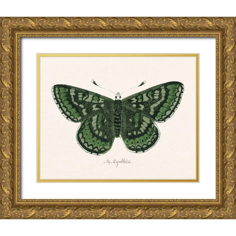 Antique Butterfly I Gold Ornate Wood Framed Art Print with Double Matting by Wild Apple Portfolio