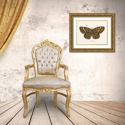 Antique Butterfly II Gold Ornate Wood Framed Art Print with Double Matting by Wild Apple Portfolio