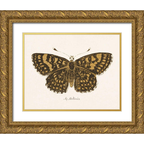 Antique Butterfly II Gold Ornate Wood Framed Art Print with Double Matting by Wild Apple Portfolio