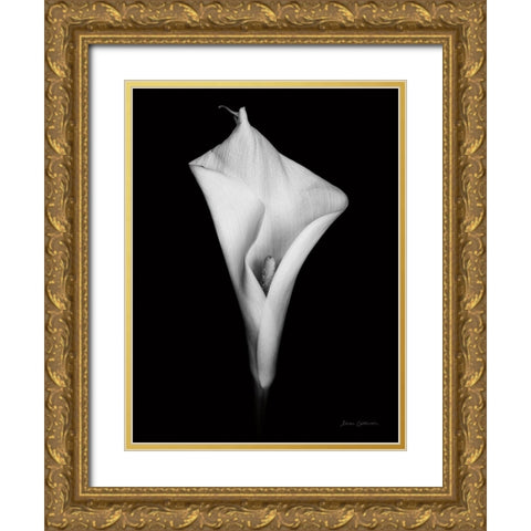Elegant Calla I Gold Ornate Wood Framed Art Print with Double Matting by Catterall, Elise