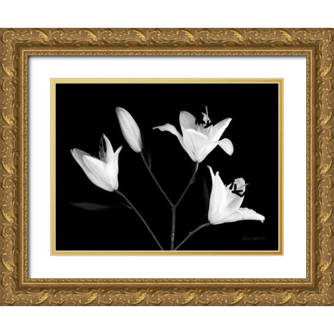 Spray of Lilies Gold Ornate Wood Framed Art Print with Double Matting by Catterall, Elise