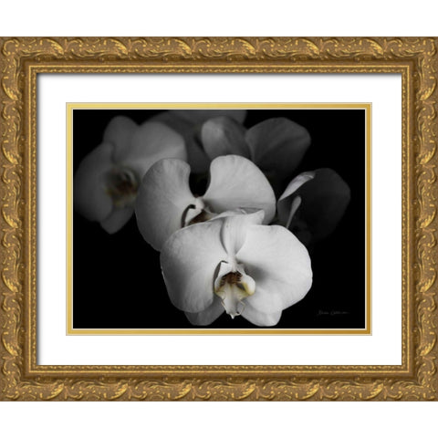 White Orchid I Gold Ornate Wood Framed Art Print with Double Matting by Catterall, Elise