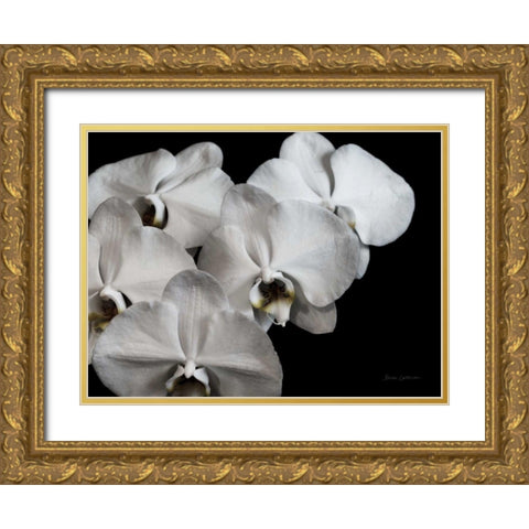 White Orchid II Gold Ornate Wood Framed Art Print with Double Matting by Catterall, Elise