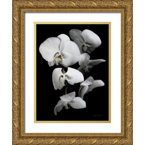 White Orchid III Gold Ornate Wood Framed Art Print with Double Matting by Catterall, Elise
