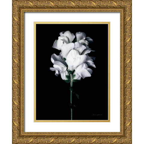 White Snapdragon Gold Ornate Wood Framed Art Print with Double Matting by Catterall, Elise